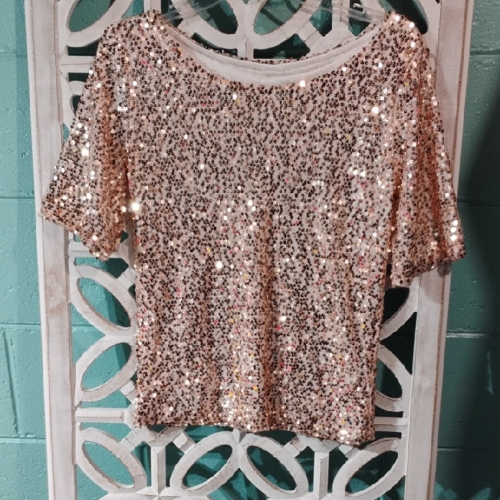 Sparkling Sequin Short Sleeve Top